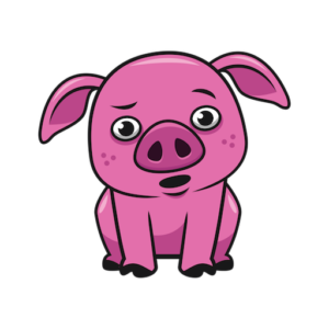 confused prize pig